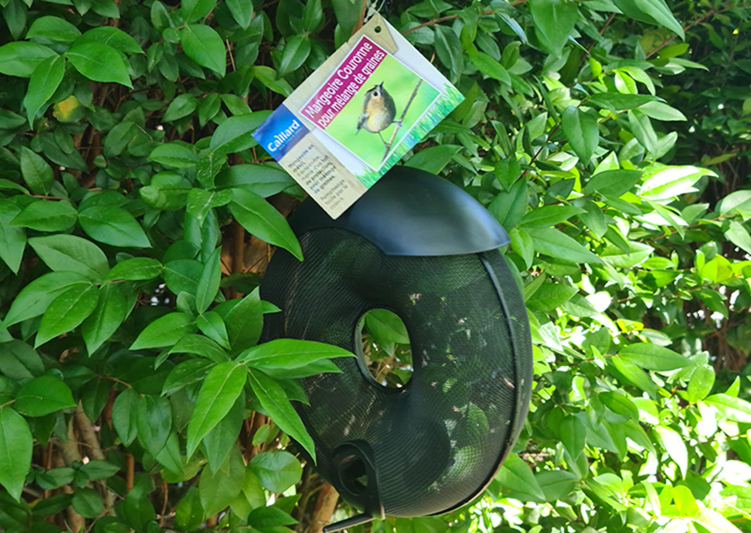 Jeu Concours - Gagnez une mangeoire couronne pour les oiseaux avec Caillard