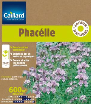 PHACELIE