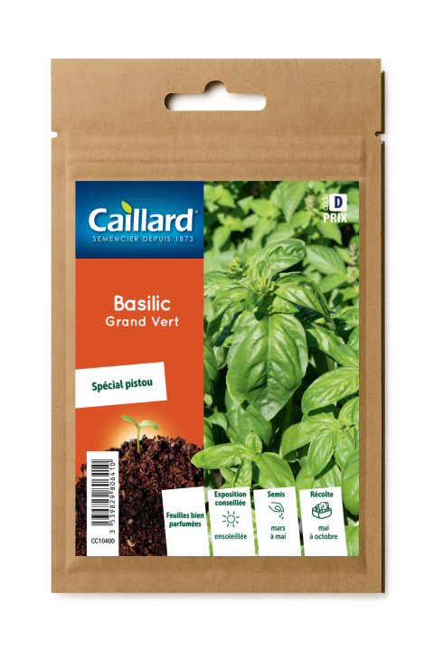 BASILIC GRAND VERT