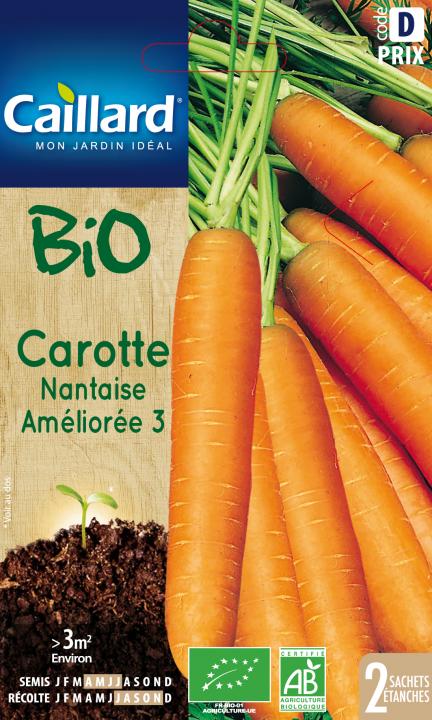 CAROTTE NANTAISE AMELIOREE 3