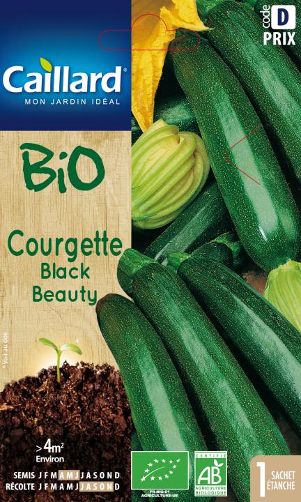 COURGETTE BLACK BEAUTY