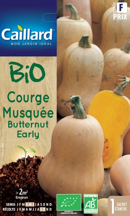 COURGE MUSQUEE BUTTERNUT EARLY