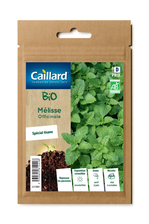 MELISSE OFFICINALE