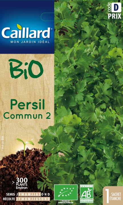 PERSIL COMMUN 2