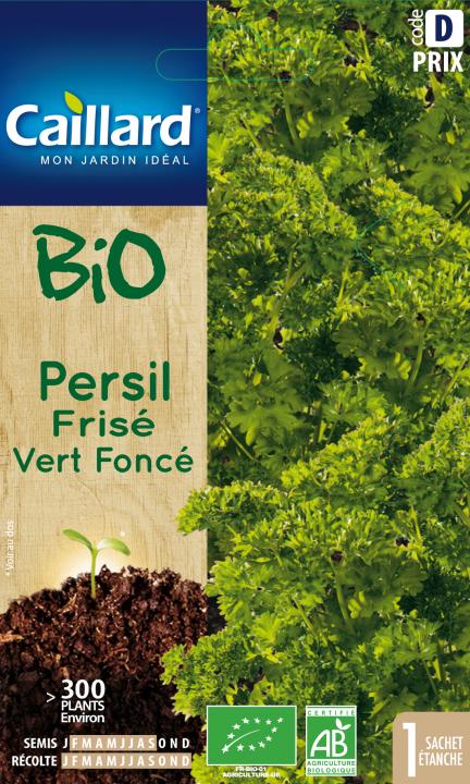PERSIL FRISE VERT FONCE