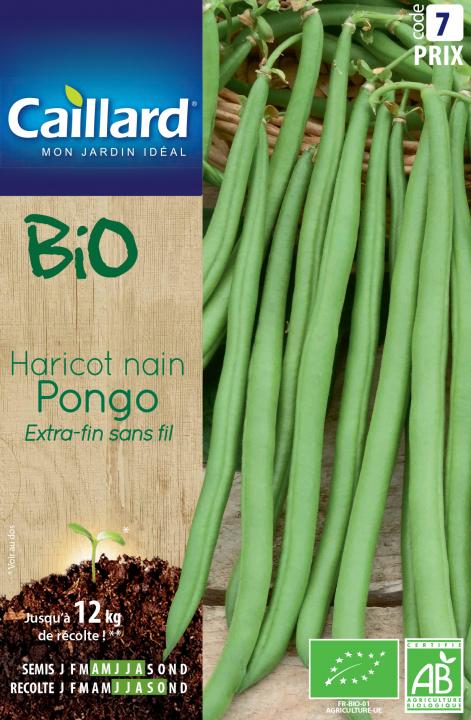 HARICOT NAIN EXTRA-FIN SANS FIL PONGO