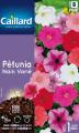 PETUNIA NAIN VARIE