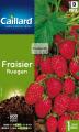 FRAISIER RUEGEN