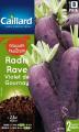 RADIS RAVE VIOLET DE GOURNAY